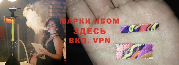 индика Аркадак