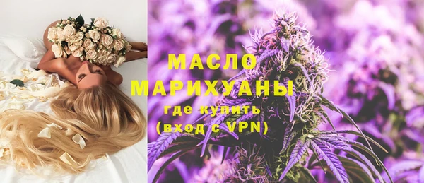 индика Аркадак
