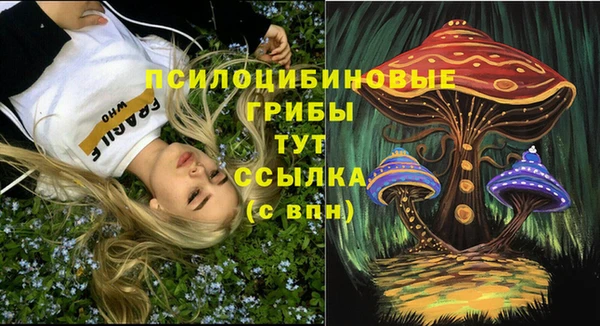 индика Аркадак