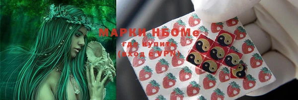 индика Аркадак